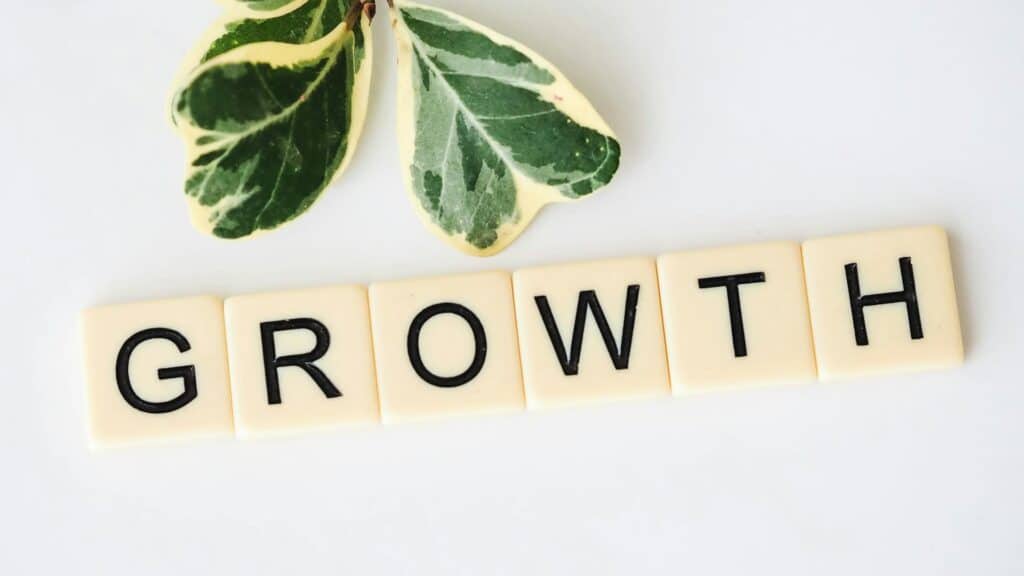 What no one told you about growth